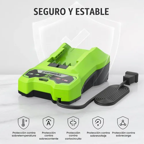 Vista 5 de Cargador de batería Greenworks de 24 V (cargador genuino Greenworks)