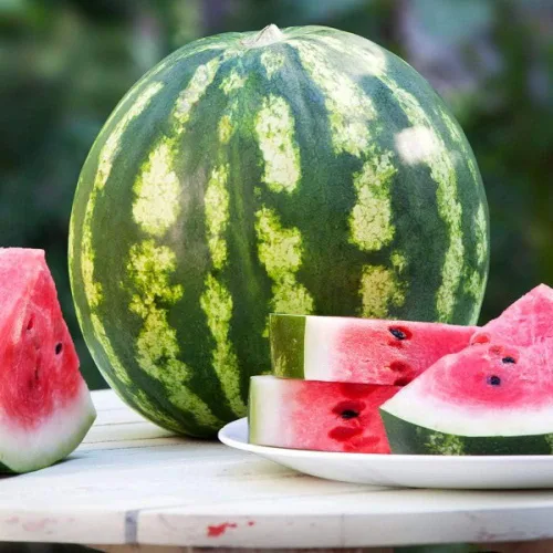 Vista 3 de Semillas Fruta Sandía Carmesí Dulce Verde para Plantar - 20 Semillas
