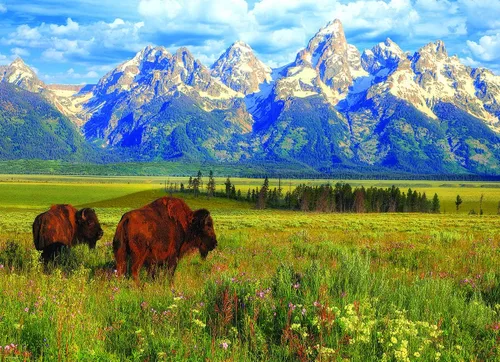 Vista 2 de EuroGraphics Grand Teton National Park Photography by Steve Hinch - Rompecabezas de 1000 piezas