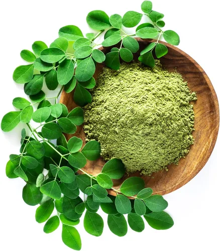 Vista 3 de Semillas de Moringa para plantar - Paquete de 0.35 oz ~ 39+ Semillas - Cultivar semillas de moringa para comer - Plántulas de árboles de moringa