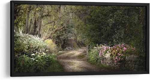 Vista 5 de Canvas Lab SECRET GARDEN by Ariadne Contreras 15 x 7 in Fine Art Framed Print, Frame Color: Black, With Mat Botanical, Scenery, Floral