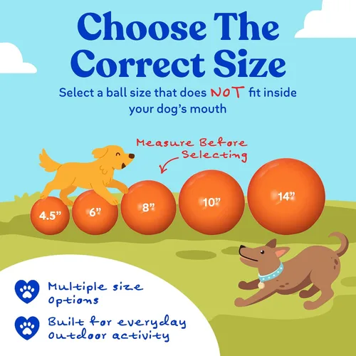 Vista 5 de Prácticamente indestructible (duro), mejores pelota para perros