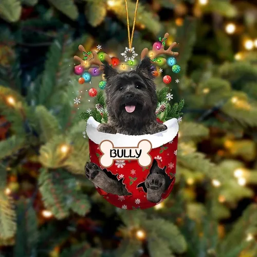 Vista 231 de IZI POD Affenpinscher Adorno de Navidad personalizado para perro, adorno de bolsillo de nieve para perro para árbol de Navidad, adorno acrílico
