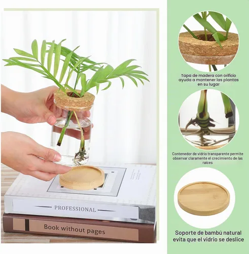 Vista 4 de Layhit 4 piezas de estaciones de propagación de plantas, jarrones de vidrio con tapa de madera y soporte de bambú para plantas hidropónicas, regalos