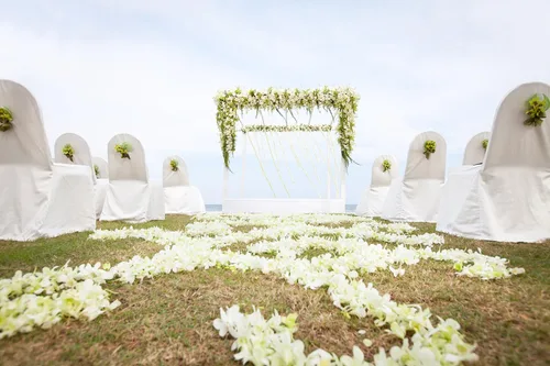 Vista 3 de Flores frescas cortadas de Miami OrchidClub USA por Sunne Tropical DIY Lei, decoración de alimentos y bebidas (50 blanco)