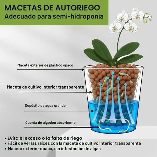 Vista 8 de Olla de riego automático de 6 pulgadas con maceta transparente en Blanco