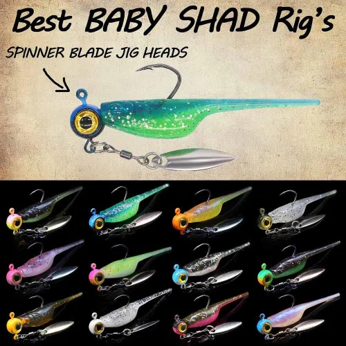 Vista 5 de Kit de Señuelos para Crappie - Plásticos - Cabezas de Jig - Kit de Shad - Minnow - Señuelos de Pesca para Crappie - Panfish - Bluegill - Kit de 40