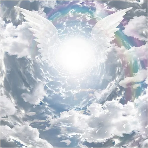 Vista 9 de Telón de fondo de alas de ángel de 4 x 4 pies, tema enviado al cielo recién nacido, baby shower, fotografía, fondo azul cielo blanco, nube santo