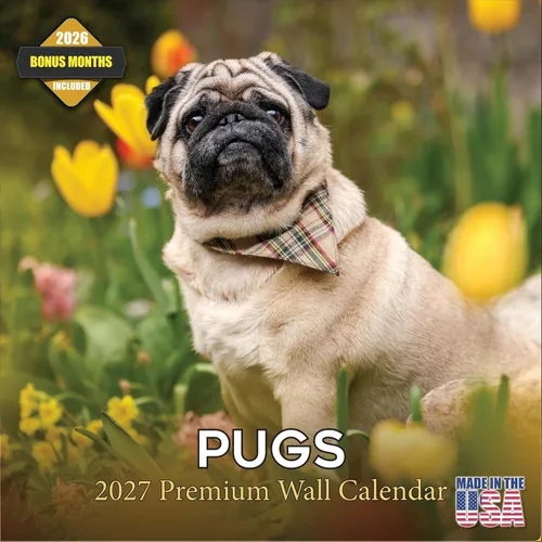 Vista 13 de Calendario de Lebrel Afgano 2025 2026, calendario mensual de pared de raza canina, 12" x 18" abierto, papel grueso sin traspaso, ideal para regalo