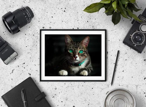 Vista 4 de 50 hojas de papel de impresión fotográfica de inyección de tinta de calidad profesional, 11 x 17 pulgadas, 9.17 oz/m² para impresiones fotográficas