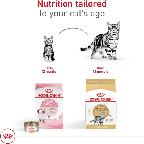 Vista 6 de Royal Canin Feline Breed Nutrition American Shorthair - Alimento seco para gatos adultos, bolsa de 5.5 libras