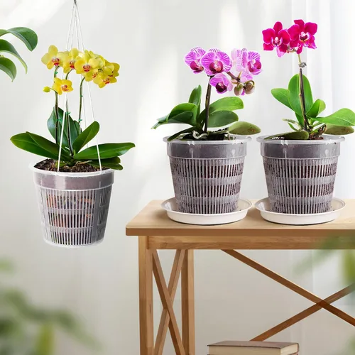 Vista 7 de Maceta de orquídeas, paquete de 6 macetas de orquídeas de 6 pulgadas