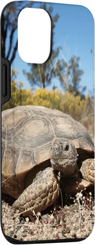 Vista 3 de Funda para iPhone 12/12 Pro Desert Tortoise