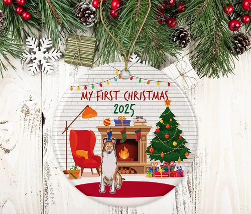 Vista 2 de Yanashop88 Smooth Collie Adorno de Navidad Collie's First Dog My Pet para perros en ambos lados, ornamento 4WA2ZLGTJB-Ambos lados, blanco