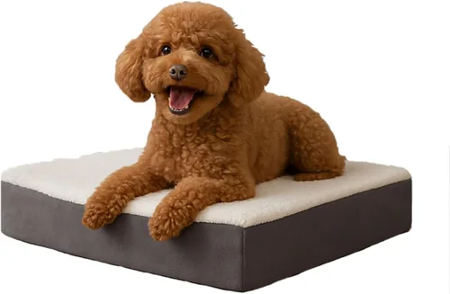 Vista 11 de PETMAKER Cama ortopédica para perros, cama para perros de espuma viscoelástica de 2 capas con funda Sherpa lavable a máquina, cama para perros