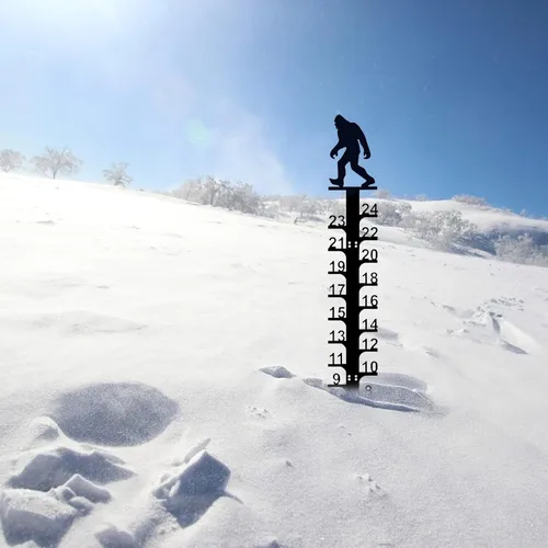 Vista 9 de LiveGo Iron Art - Medidor de nieve de 24 pulgadas, medidor de medición para exteriores, palo de medición de nieve desmontable de metal, estacas