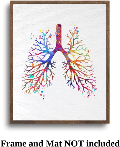 Vista 7 de Dignovel Studios 8X10 sin marco pulmonar anatomía humana acuarela arte impresión cartel ciencia médica inauguración casa giclée oficina decoración