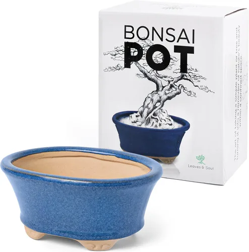 Vista 9 de Maceta para bonsái de cerámica esmaltada, maceta de cerámica para suculentas y plantas pequeñas, maceta rectangular negra perfecta para jardines