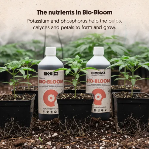 Vista 5 de Biobizz Bio-Bloom 1L