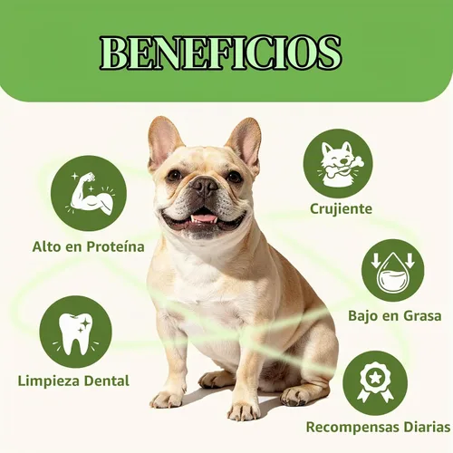 Vista 4 de MON2SUN Golosinas para perros, mini masticables de cuero crudo de 9 onzas, mancuernas de pollo con arroz para perros pequeños y razas de juguete