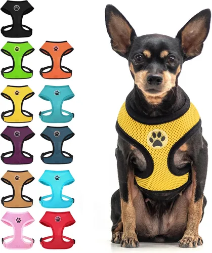 Vista 17 de BINGPET Arnés para perro sin tirones, arnés de chaleco tipo step-in de malla para todo clima para perros pequeños, arnés de malla transpirable