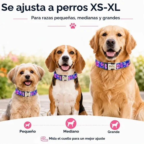 Vista 5 de Collares de perro personalizados con placa de identificación grabada con número de teléfono, collares ajustables coloridos para perros macho