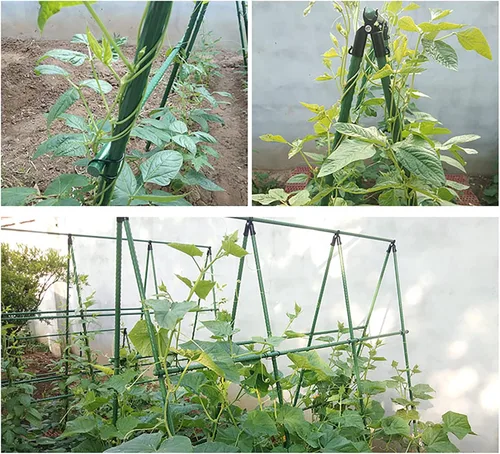 Vista 4 de Paquete de 20 estacas de jardín montadas, multifuncionales, enrejado de jardín, resistentes, estacas de tomate para jardín de plantas de pepino