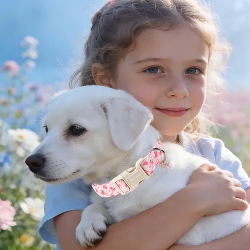 Vista 149 de DOGWONG Collar para perro de San Valentín, collar ajustable de algodón con corazón de caramelo azul, perfecto para perros pequeños a medianos
