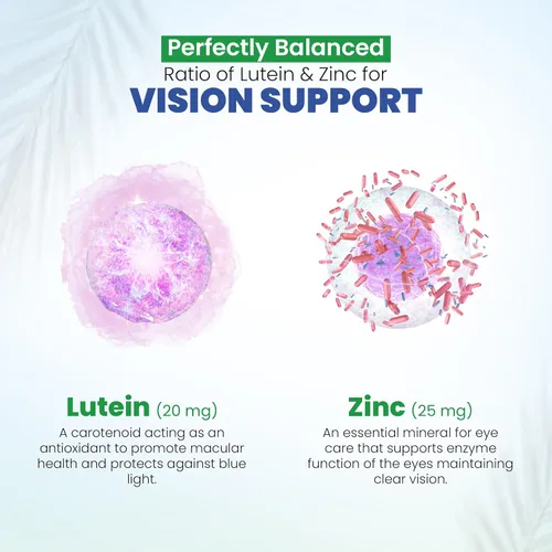 Vista 6 de AREDS 2 Vitaminas oculares con luteína y zeaxantina para la salud macular, suplemento de salud de visión de arándano, 20 mg de luteína, zinc