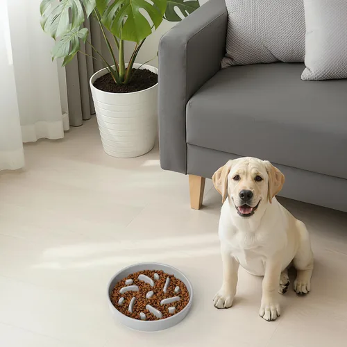 Vista 8 de Cuenco de cerámica para perros de alimentación lenta, 2 tazas de plato de Laberinto - Gris