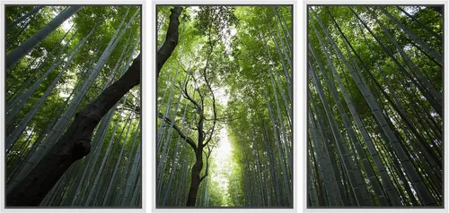 Vista 140 de wall26 Lienzo enmarcado para pared, juego de arte debajo de los tallos de bambú verde, naturaleza, desierto, fotografía, realismo, contemporáneo