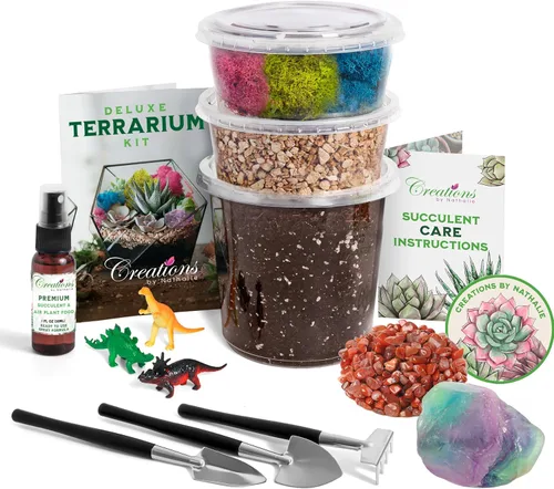 Vista 9 de Creations by Nathalie – Kit de bricolaje grande para terrario de inicio con tierra, musgo, piedras, cristal de curación, herramientas y suministros
