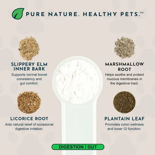 Vista 3 de Animal Essentials Polvo de rescate de colon ayuda digestiva a base de hierbas para perros y gatos, 1 onza – Hecho en Estados Unidos GI Support