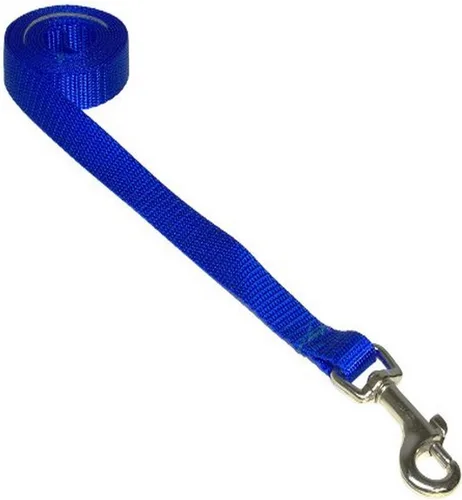Vista 23 de Correa de nailon rojo mediano para perro: 3/4" de ancho, 6 pies de longitud - fabricada en Estados Unidos.