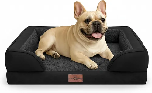 Vista 53 de Comfort Expression - Cama ortopédica para perros medianos, 28 x 19 pulgadas, cama impermeable y de apoyo de espuma con cojines removibles, sofá