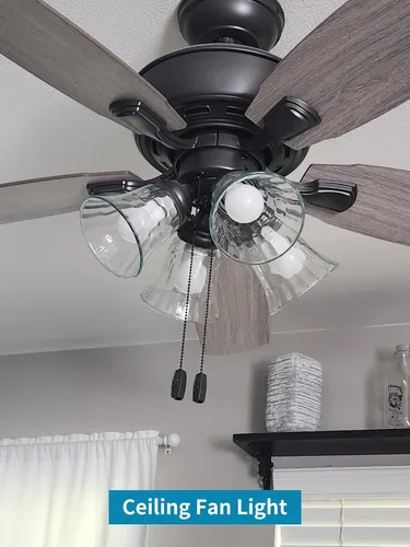 Vista 6 de Skelang 4 piezas de pantalla de luz para ventilador de techo, pantalla de lámpara de labios, repuesto de globos con forma de campana, martillado