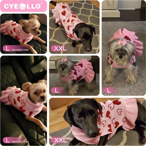 Vista 4 de cyeollo Vestido suéter para perro de San Valentín, suéteres cálidos de cuello alto para perros pequeños y niñas, ropa de punto elástico