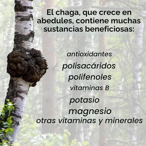 Vista 3 de Champiñones Chaga Polvo 8 oz