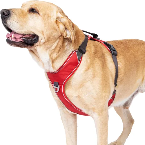 Vista 12 de Arnés para perro sin tirones con 2 clips para correa, chaleco reflectante, ajustable y acolchado, clips delanteros y traseros fáciles de caminar