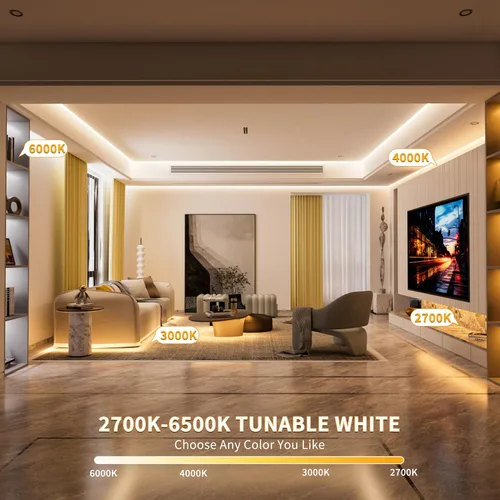 Vista 2 de PAUTIX COB - Tiras de Luces LED Direccionables de 2700K-6500K, Luz Blanca Perseguidora CCT, Cinta de Luces Inteligente IC Sintonizable 16.4 pies