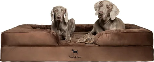 Vista 31 de NOAH & PAW Cama para perros pequeños, 20 x 15 x 8 pulgadas, cama para gatos de interior, espuma viscoelástica ortopédica de cáscara de huevo