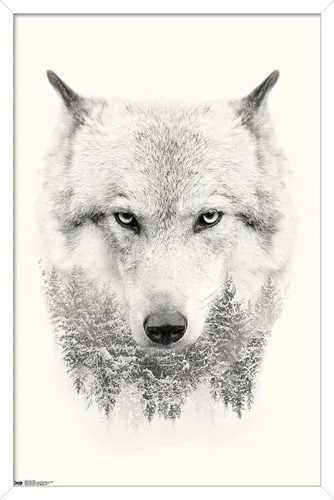 Vista 12 de Trends International Póster de pared de lobo - árboles, 14.725 x 22.375 pulgadas, versión enmarcada de madera de granero