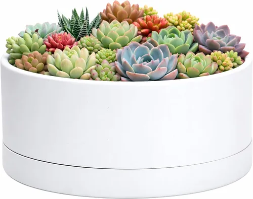 Vista 10 de D'vine Dev - Maceta redonda para suculentas de 8 pulgadas, color negro, 76-Z-B-1 Wide Bowl Design, Thick-Walled Durable Construction, Enhanced