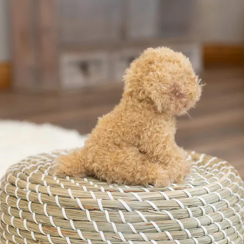 Vista 4 de DEMDACO Labradoodle - Puf de peluche para niños de 5.5 pulgadas, color marrón claro