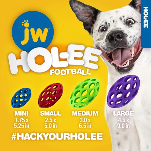 Vista 4 de JW Pet Hol-ee - Botella de agua para perro, no es un juguete masticable, mediano