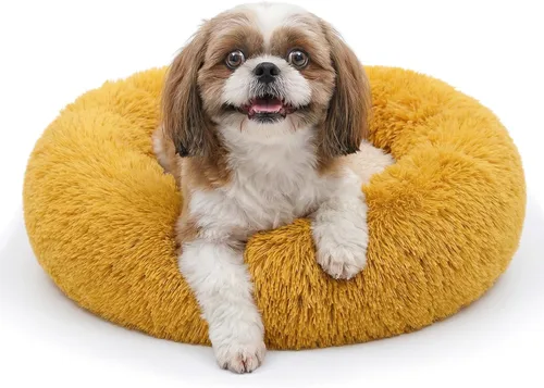 Vista 44 de Cama para perros pequeños, cama calmante para perros pequeños, antiansiedad, cama para cachorros, lavable a máquina, esponjosa, de lujo Verde militar
