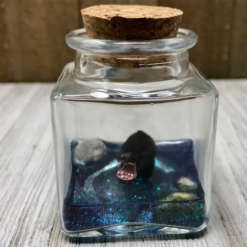 Vista 4 de Mini hipopótamo para mascotas con certificado marrón de adopción hipopótamo pigmeo hecho a mano en EE. UU. Fish Belli
