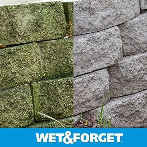 Vista 10 de Wet & Forget Molde de musgo para exteriores, removedor de manchas de hongos y algas, 2 x 0.75 galones