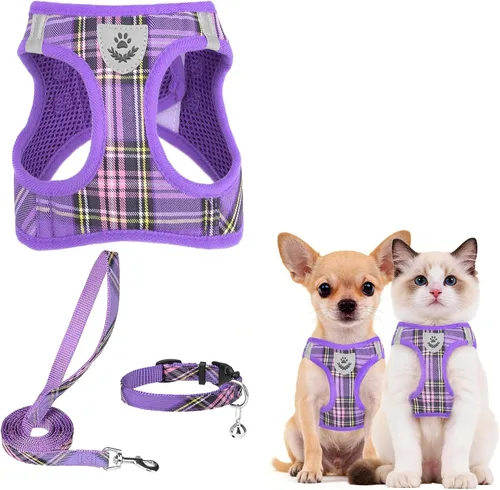 Vista 106 de PUPTECK - Arnés, collar y correa ajustables, sin tirones, para perros pequeños y medianos, cachorros y gatos, pechera reflectante acolchada de malla