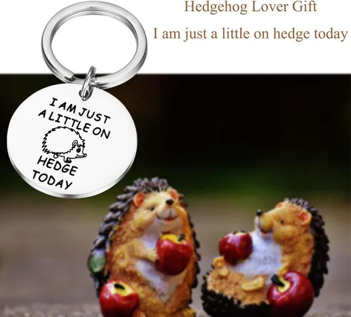 Vista 6 de Lywjyb Birdgot erizo regalo regalo amante del erizo regalo regalo animal amante